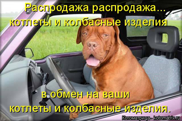 Котоматрица: Распродажа распродажа... котлеты и колбасные изделия в обмен на ваши  котлеты и колбасные изделия.