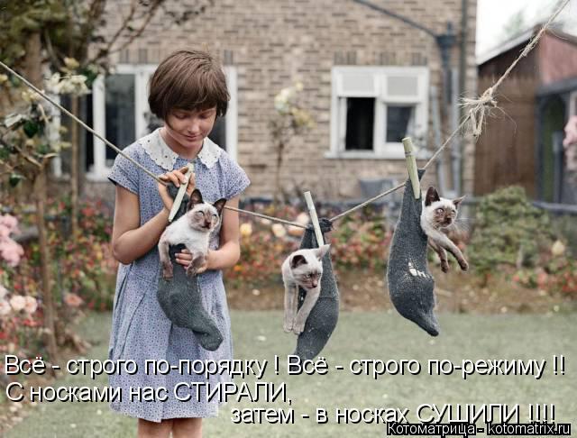 Котоматрица: Всё - строго по-порядку ! Всё - строго по-режиму !! С носками нас СТИРАЛИ, затем - в носках СУШИЛИ !!!!