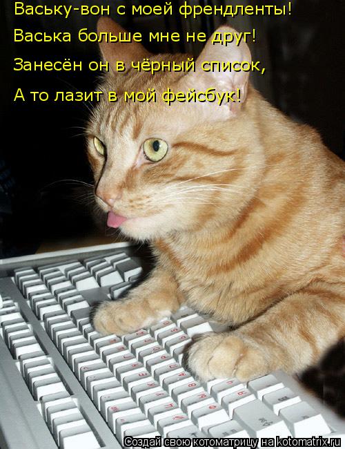 Котоматрица: Ваську-вон с моей френдленты! Васька больше мне не друг! Занесён он в чёрный список, А то лазит в мой фейсбук!