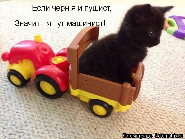 Котоматрица: Если черн я и пушист, Значит - я тут машинист!