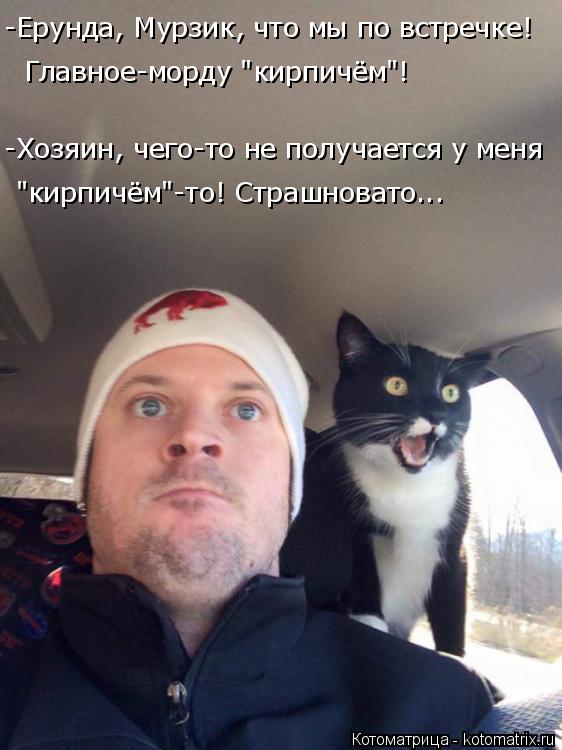Котоматрица: -Ерунда, Мурзик, что мы по встречке!  Главное-морду "кирпичём"! -Хозяин, чего-то не получается у меня "кирпичём"-то! Страшновато...