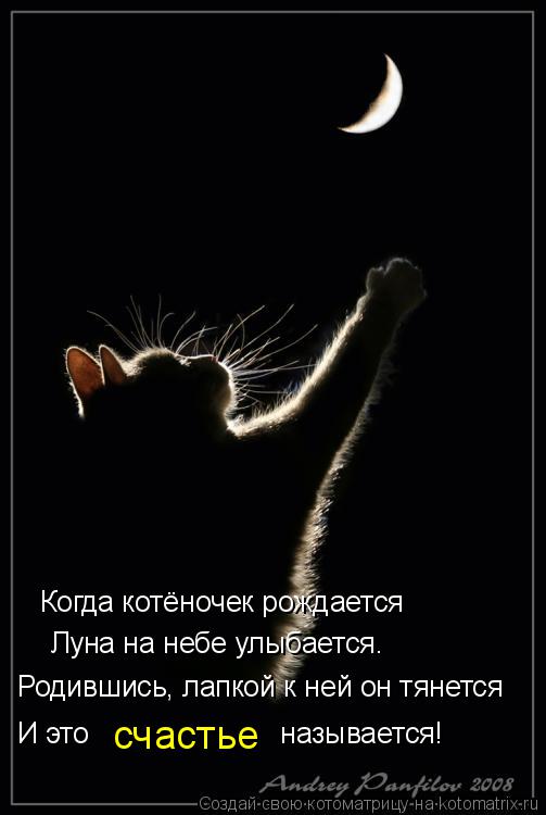 Котоматрица: Когда котёночек рождается Луна на небе улыбается. Родившись, лапкой к ней он тянется И это                        называется! счастье