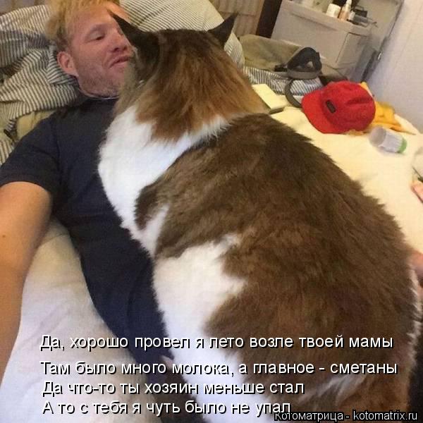Да, хорошо провел я лето возле твоей мамы Там было много молока, а главное - сметаны Да что-то ты хоз... Котоматрица: Да, хорошо провел я лето возле твоей мамы Там было много молока, а главное - сметаны Да что-то ты хозяин меньше стал А то с тебя я чуть было не