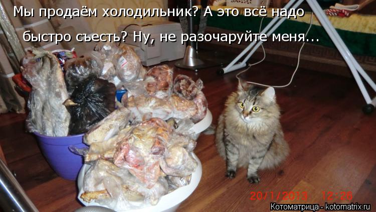Котоматрица: Мы продаём холодильник? А это всё надо  быстро съесть? Ну, не разочаруйте меня...