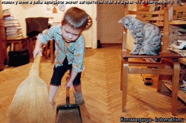 Котоматрица: хозяин у меня в рабы записался значит авторитетом стал а я думал что я обычный кот хозяин у меня в рабы записался значит авторитетом стал а 