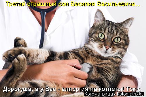 Третий страшный сон Василия Васильевича... Дорогуша, а у Вас - аллергия на котлеты! Тэк-с... Котоматрица: Третий страшный сон Василия Васильевича... Дорогуша, а у Вас - аллергия на котлеты! Тэк-с