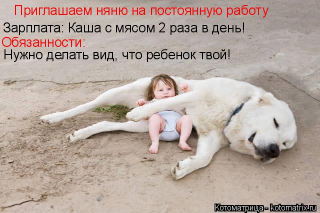 Зарплата: Каша с мясом 2 раза в день! Нужно делать вид, что ребенок твой! Приглашаем няню на постоянн... Котоматрица: Зарплата: Каша с мясом 2 раза в день! Нужно делать вид, что ребенок твой! Приглашаем няню на постоянную работу Обязанности: