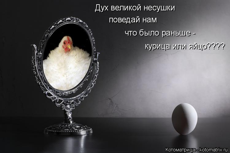 Котоматрица: Дух великой несушки поведай нам что было раньше -  курица или яйцо????