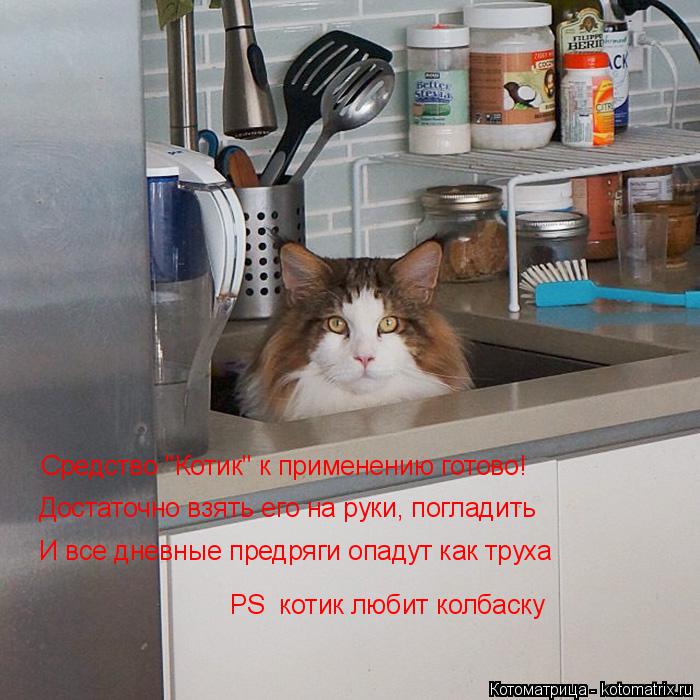 Средство "Котик" к применению готово! Достаточно взять его на руки, погладить И все дневные предряги ... Котоматрица: Средство "Котик" к применению готово! Достаточно взять его на руки, погладить И все дневные предряги опадут как труха PS котик любит колбаск