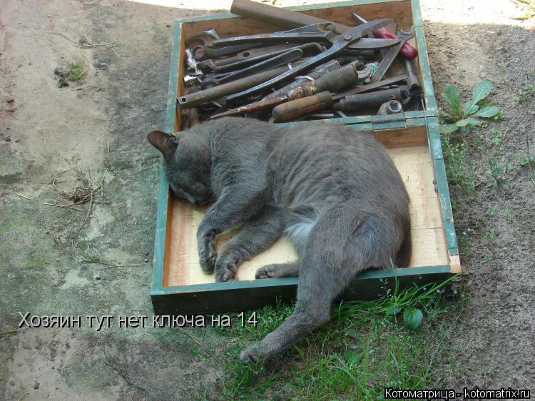 Хозяин тут нет ключа на 14... Котоматрица: Хозяин тут нет ключа на 14
