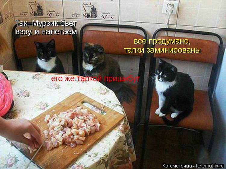 Так, Мурзик бьет вазу, и налетаем все продумано, его же тапкой пришибут тапки заминированы... Котоматрица: Так, Мурзик бьет вазу, и налетаем все продумано, его же тапкой пришибут тапки заминированы