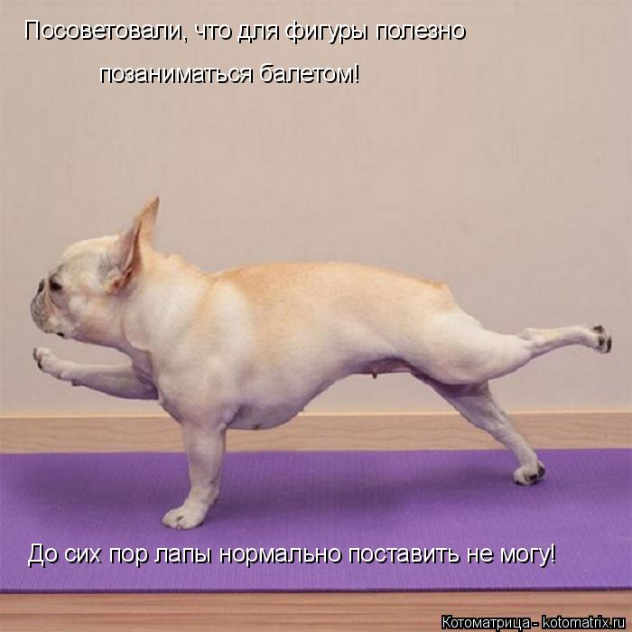 Котоматрица: Посоветовали, что для фигуры полезно  позаниматься балетом! До сих пор лапы нормально поставить не могу!