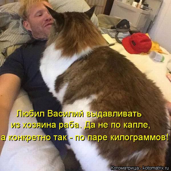 Любил Василий выдавливать из хозяина раба. Да не по капле, а конкретно так - по паре килограммов!... Котоматрица: Любил Василий выдавливать из хозяина раба. Да не по капле, а конкретно так - по паре килограммов!