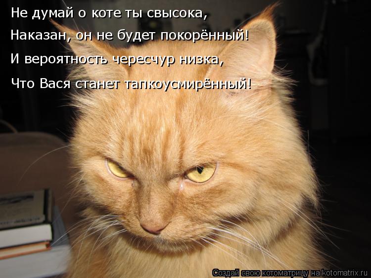 Не думай о коте ты свысока, Наказан, он не будет покорённый! И вероятность чересчур низка, Что Вася с... Котоматрица: Не думай о коте ты свысока, Наказан, он не будет покорённый! И вероятность чересчур низка, Что Вася станет тапкоусмирённый!