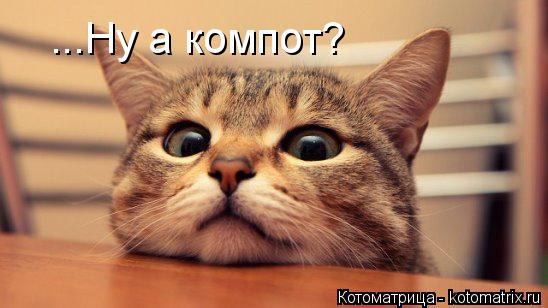 ...Ну а компот?... Котоматрица: ...Ну а компот?