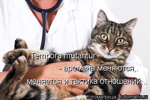 Tempora mutantur - времена меняются,. меняется и тактика отношений...... Котоматрица: Tempora mutantur - времена меняются,. меняется и тактика отношений...