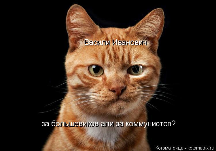 Васили Иванович за большевиков али за коммунистов?... Котоматрица: Васили Иванович за большевиков али за коммунистов?