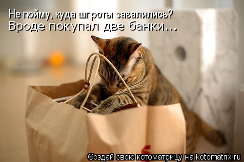 Котоматрица: Не пойму, куда шпроты завалились? Вроде покупал две банки...