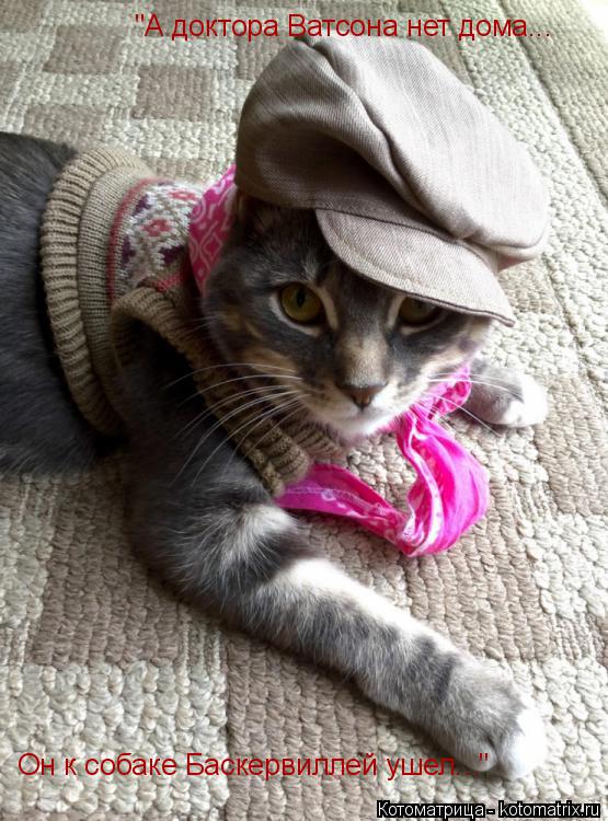 Котоматрица: "А доктора Ватсона нет дома... Он к собаке Баскервиллей ушел..."