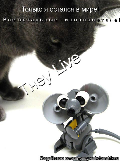 Котоматрица: Только я остался в мире! В с е  о с т а л ь н ы е  -  и н о п л а н е т я н е ! Tнey Live