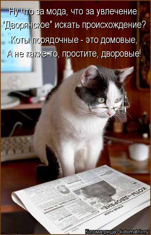Ну что за мода, что за увлечение "Дворянское" искать происхождение? Коты порядочные - это домовые, А ... Котоматрица: Ну что за мода, что за увлечение "Дворянское" искать происхождение? Коты порядочные - это домовые, А не какие-то, простите, дворовые!