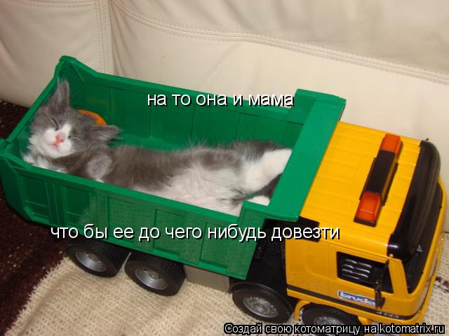 Котоматрица: на то она и мама что бы ее до чего нибудь довезти
