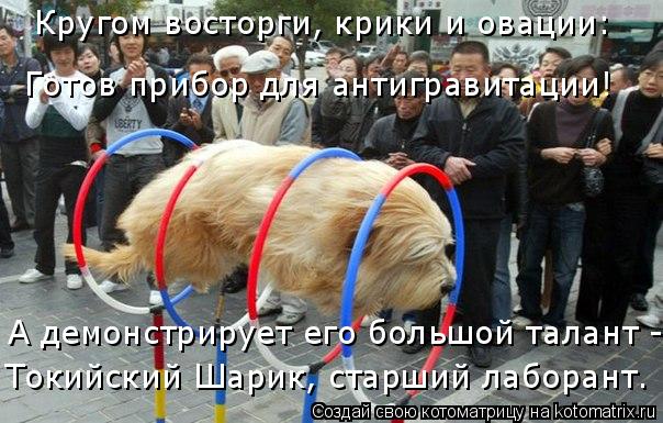 Котоматрица: Кругом восторги, крики и овации: Готов прибор для антигравитации! А демонстрирует его большой талант - Токийский Шарик, старший лаборант.