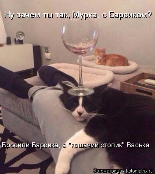 Котоматрица: Ну зачем ты так, Мурка, с Барсиком? Бросили Барсика, а "кошачий столик" Васька.