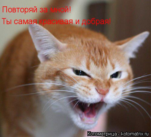 Котоматрица: Повторяй за мной1 Повторяй за мной! Ты самая красивая и добрая!