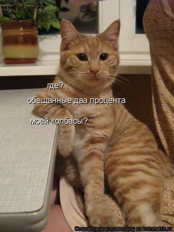 где? обещанные два процента моей колбасы?... Котоматрица: где? обещанные два процента моей колбасы?
