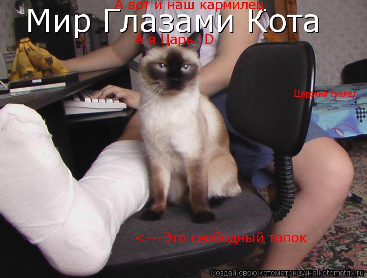 Котоматрица: Мир Глазами Кота <---Это свободный тапок А вот и наш кармилец А я Царь :D Царский туалет