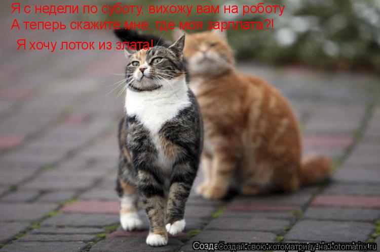 Котоматрица: Я с недели по суботу, вихожу вам на роботу А теперь скажите мне, где моя зарплата?! Я хочу лоток из злата!