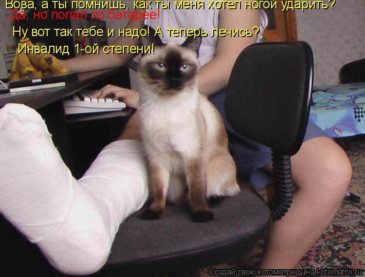 Котоматрица: Вова, а ты помнишь, как ты меня хотел ногой ударить? Да, но попал по батарее! Ну вот так тебе и надо! А теперь лечись? Инвалид 1-ой степени!