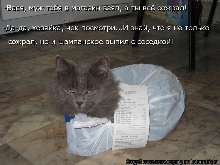 сожрал, но и шампанское выпил с соседкой! -Да-да, хозяйка, чек посмотри...И знай, что я не только -В... Котоматрица: сожрал, но и шампанское выпил с соседкой! -Да-да, хозяйка, чек посмотри...И знай, что я не только -Вася, муж тебя в магазин взял, а ты всё сожрал!