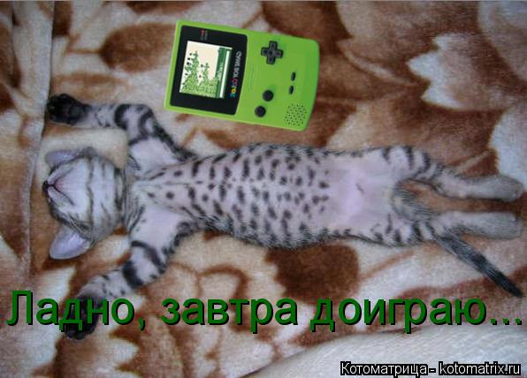 Котоматрица: Ладно, завтра доиграю...