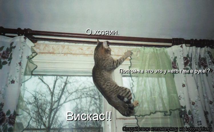 Котоматрица: О хозяин. Постой-ка что это у него там в руке!? Вискас!!