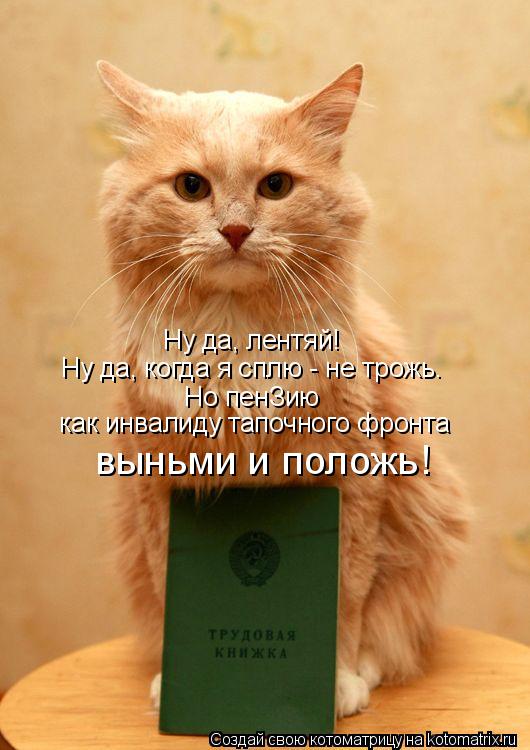 Котоматрица: Ну да, лентяй! Ну да, когда я сплю - не трожь. Но пенЗию   как инвалиду тапочного фронта выньми и положь!