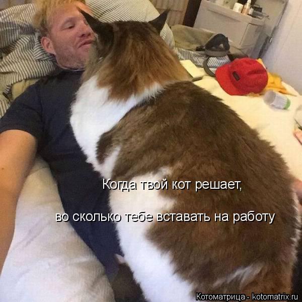 Котоматрица: Когда твой кот решает,  во сколько тебе вставать на работу