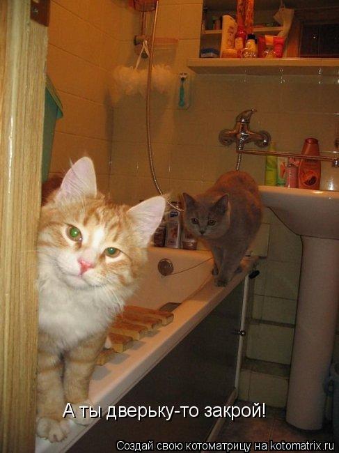 Котоматрица: А ты дверьку-то закрой!