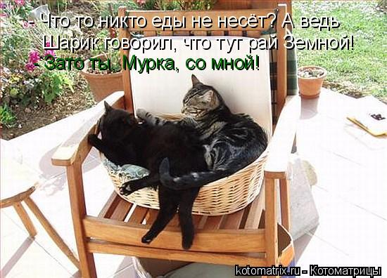 Котоматрица: - Что то никто еды не несёт? А ведь  Шарик говорил, что тут рай Земной! - Зато ты, Мурка, со мной!