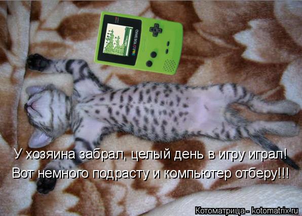 Котоматрица: У хозяина забрал, целый день в игру играл! Вот немного подрасту и компьютер отберу!!!