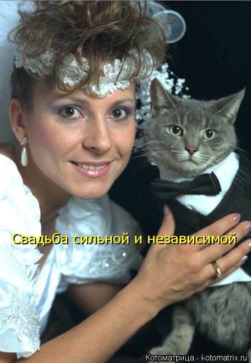 Котоматрица: Свадьба сильной и независимой