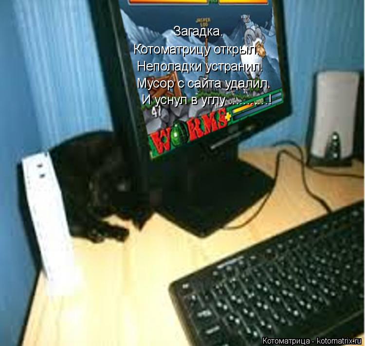 Котоматрица: И уснул в углу ...........! Мусор с сайта удалил. Неполадки устранил. Котоматрицу открыл. Загадка.