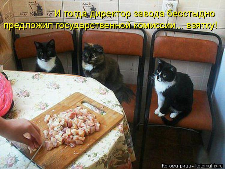 Котоматрица: И тогда директор завода бесстыдно предложил государственной комиссии... взятку!