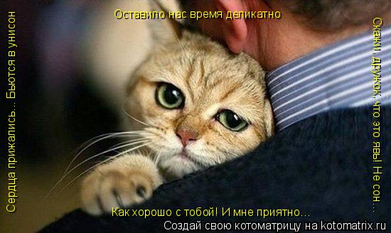 Котоматрица: Сердца прижались… Бьются в унисон! Оставило нас время деликатно Скажи, дружок, что это явь! Не сон… Как хорошо с тобой! И мне приятно… Сердц