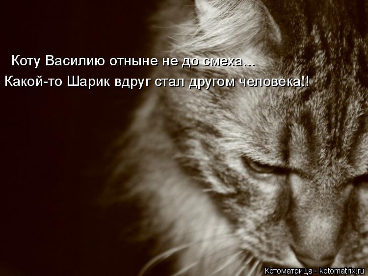 Какой-то Шарик вдруг стал другом человека!! Коту Василию отныне не до смеха...... Котоматрица: Какой-то Шарик вдруг стал другом человека!! Коту Василию отныне не до смеха...
