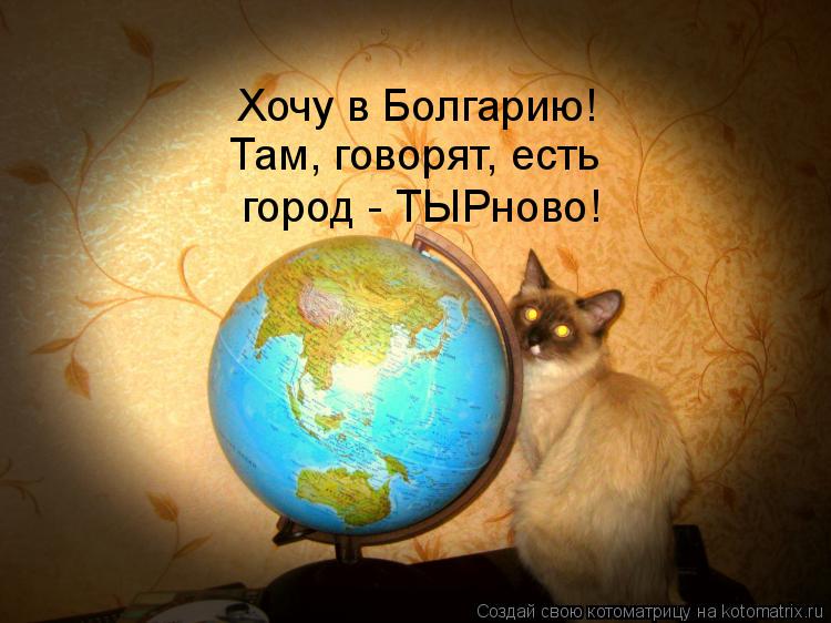 Котоматрица: Хочу в Болгарию! Там, говорят, есть город - ТЫРново!