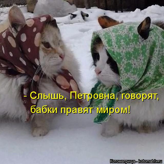 Котоматрица: - Слышь, Петровна, говорят, бабки правят миром!