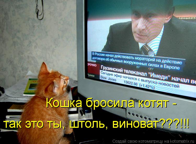 Котоматрица: Кошка бросила котят -  так это ты, штоль, виноват???!!!