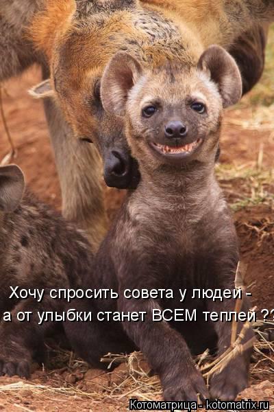 Котоматрица: Хочу спросить совета у людей - а от улыбки станет ВСЕМ теплей ??!!!